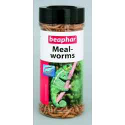 Beaphar Mealworms suszone mączniaki dla gadów i płazów