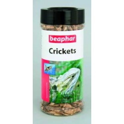 Beaphar Crickets suszone świerszcze dla gadów i płazów