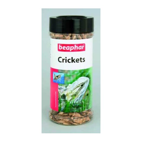Beaphar Crickets suszone świerszcze dla gadów i płazów