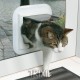 Drzwi dla kota "Freecat de Luxe" do drzwi szklanych brązowe