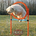 Obręcz do agility 65cm Trixie