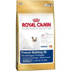 French Bulldog 26 - 1kg - psy dorosłe rasy Buldog Francuski, Kar