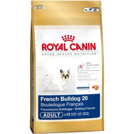 French Bulldog 26 - 4kg - psy dorosłe rasy Buldog Francuski, Kar