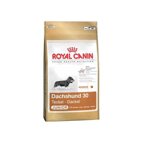 DACHSHUND JUNIOR 1,5kg, szczenięta jamniki, karma Royal Canin