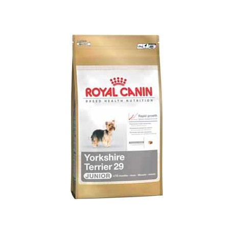 YORKSHIRE TERRIER JUNIOR 0,5kg, karma Royal Canin