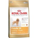 POODLE 1,5kg, dla psów pudli dorosłych, karma Royal Canin