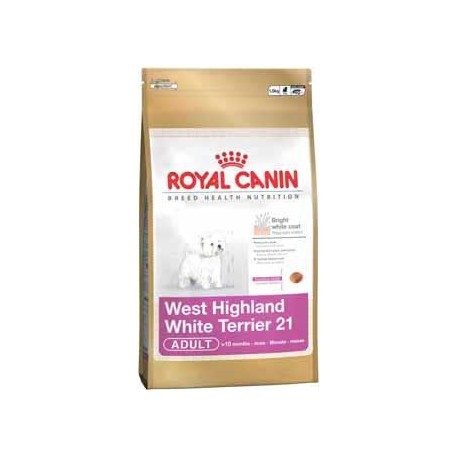 West Highland White Terrier 3kg, psy dorosłe, karma Royal Canin