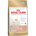 LABRADOR RETRIEVER JUNIOR 3kg, karma Royal Canin