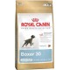 BOXER JUNIOR 12kg, szczenięta boksery, karma Royal Canin