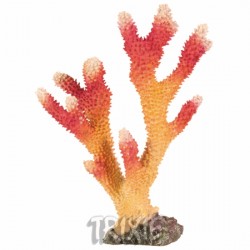 Dekoracja - Koral 26 cm