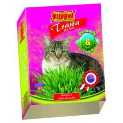 Vitapol trawa dla kota (pudełko)
