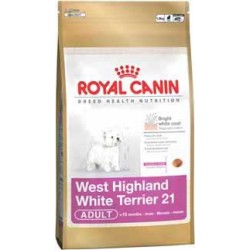 West Highland White Terrier 0,5kg, psy dorosłe, karma Royal Cani