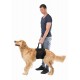 Uprząż rehabilitacyjna dla psa - nosidło do 85 kg