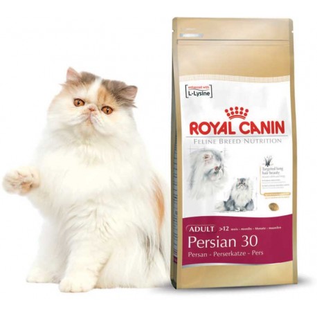 PERSIAN 30 - 4 kg - koty perskie