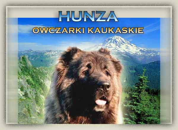 Owczarki kaukaskie Hunza